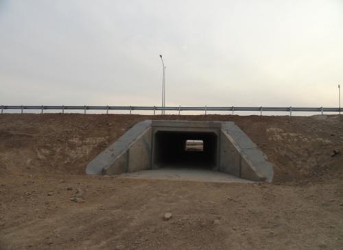 Construction of cattle crossing